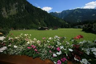 feratel-Haus Waidmannsheil - Aussicht