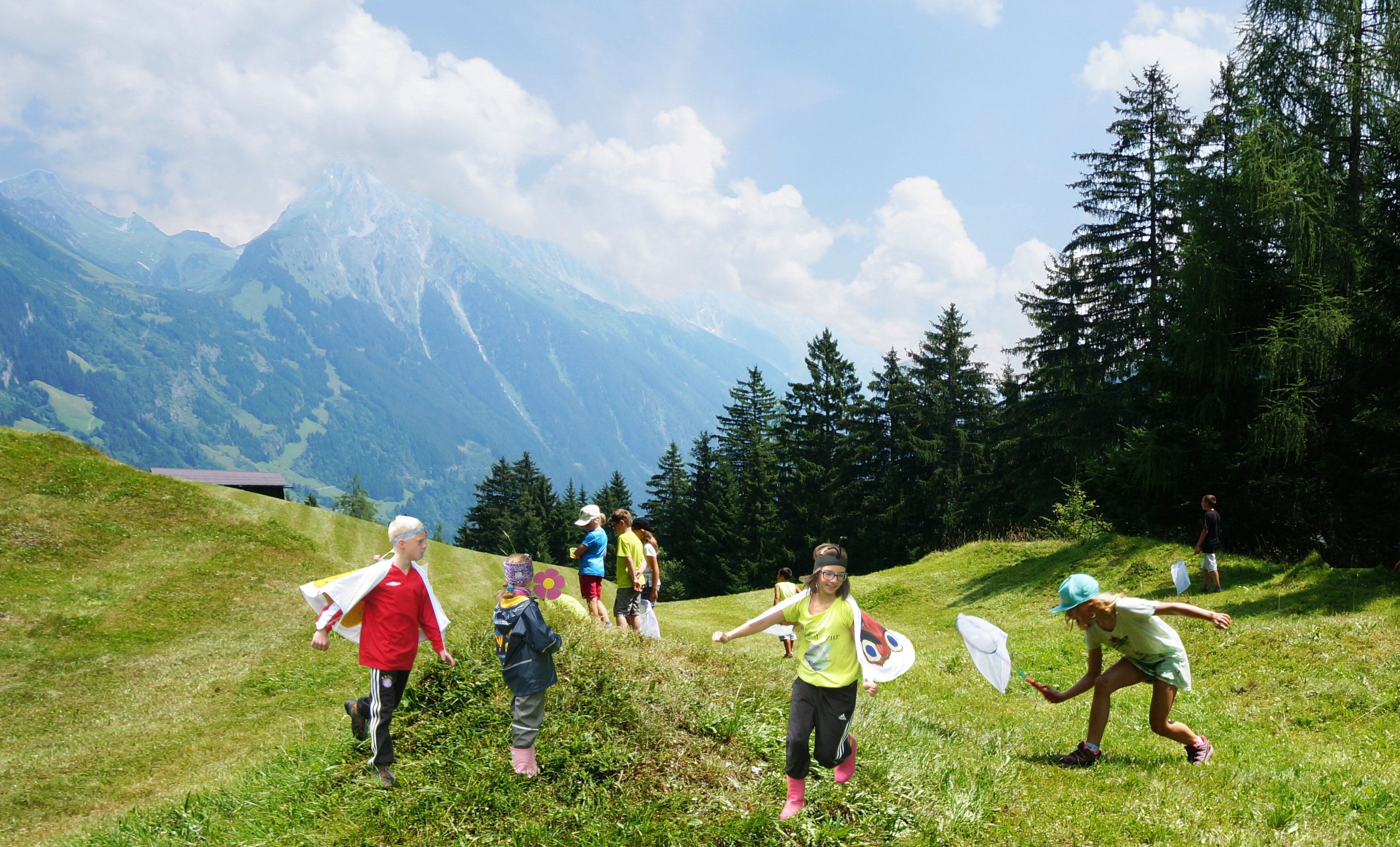 mys-Insektenforscher unterwegs...-Insektenforscher unterwegs
