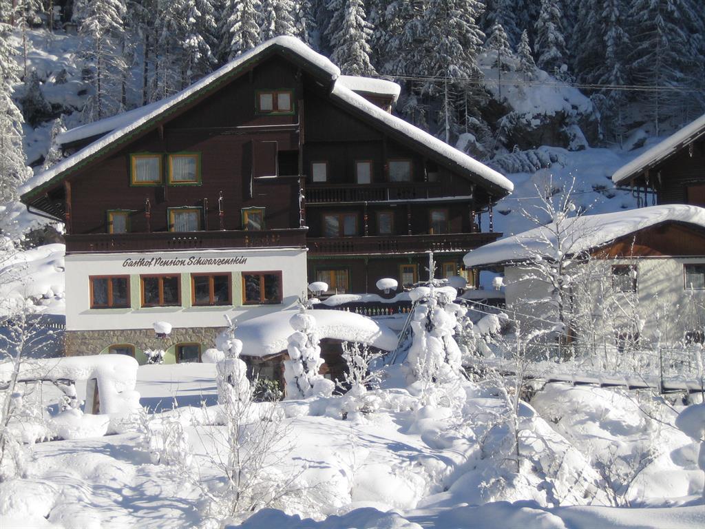 feratel-Hotel Schwarzenstein - Winter