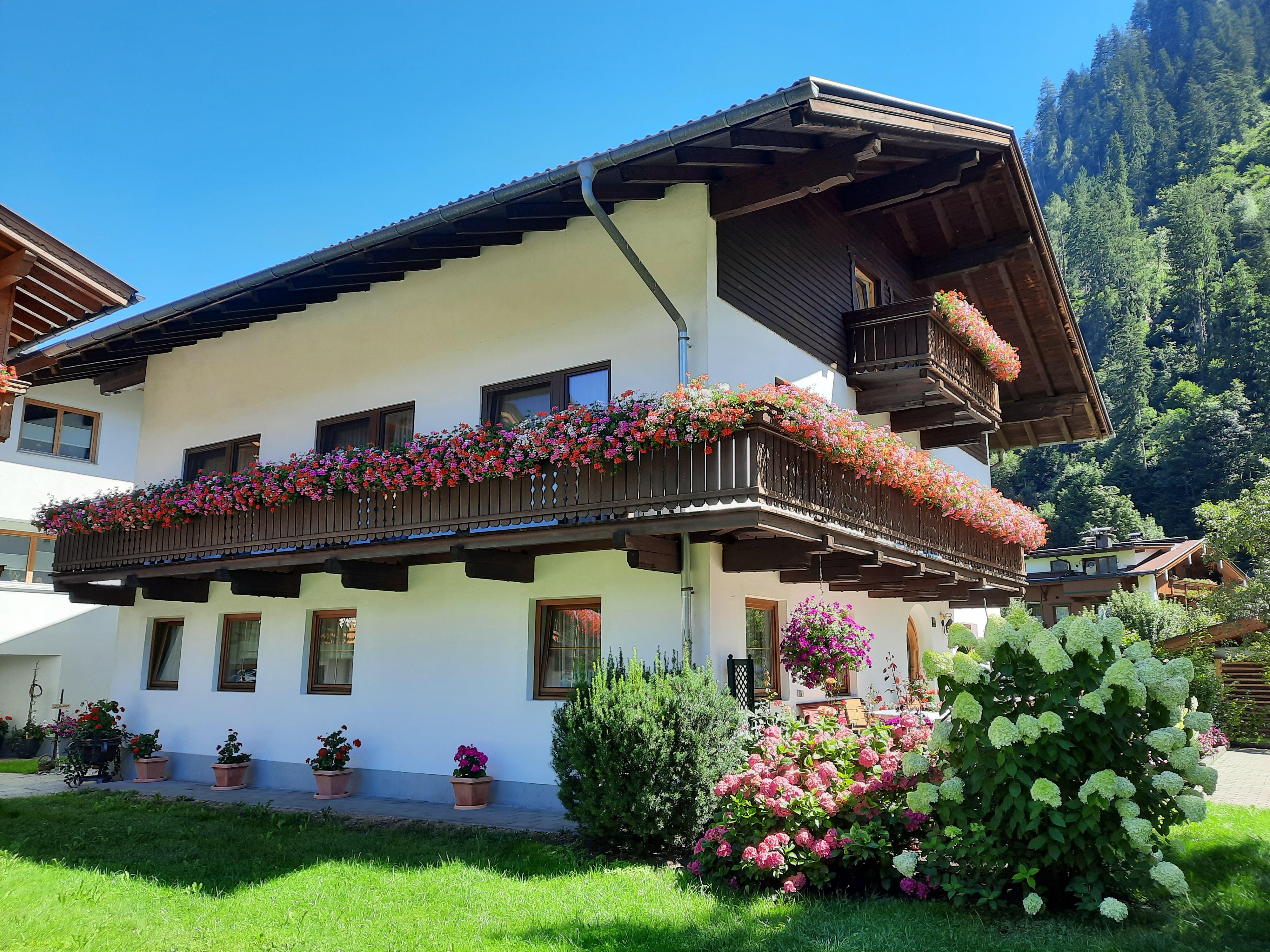 feratel-Haus Traudl - Haus Traudl - Sommer