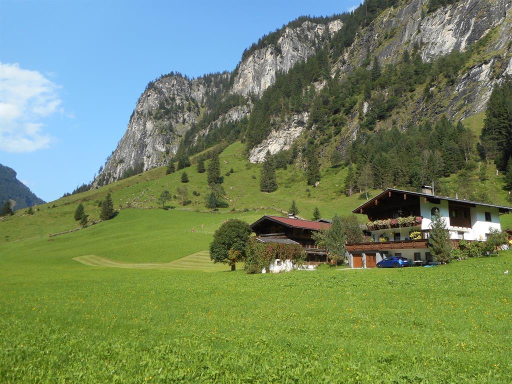 feratel-Apartment Bergblick - Unser Hof im Sommer