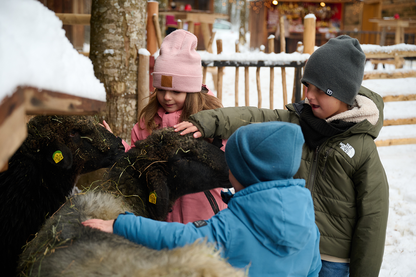 Steichelzoo am Mayrhofner Advent am Waldfestplatz