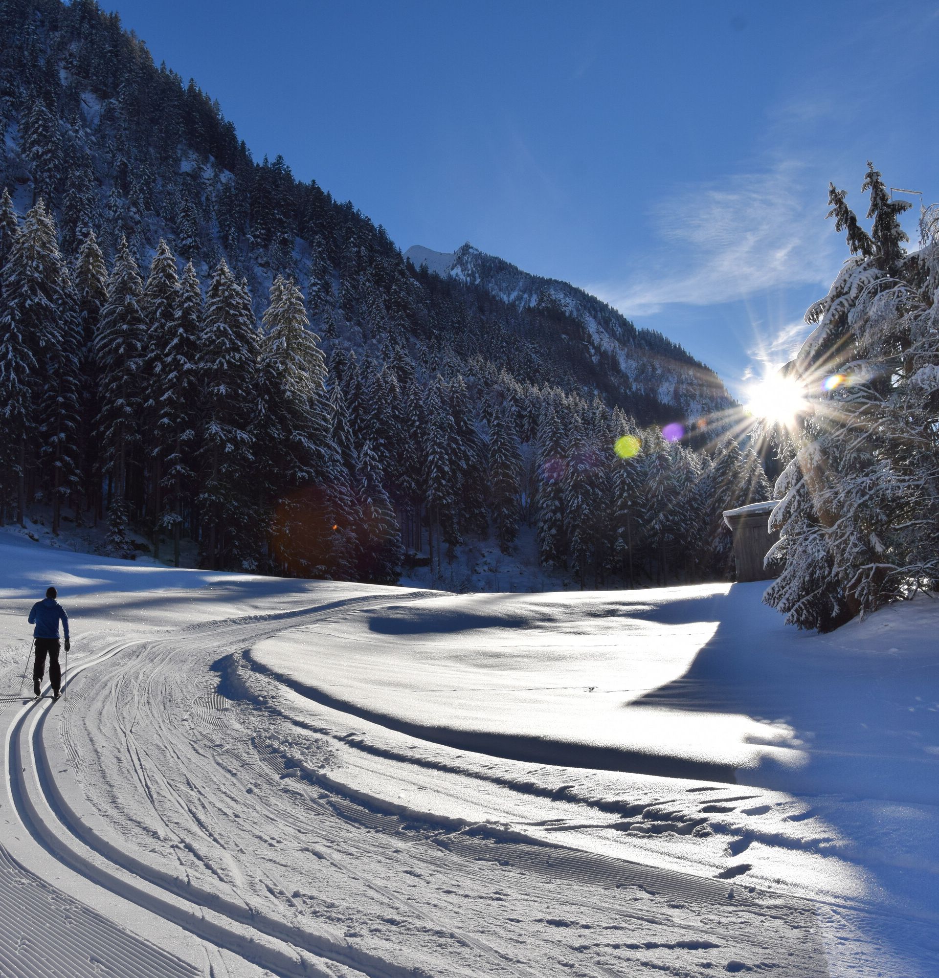 Langläufer auf der gespurten Langlaufloipe in Ginzling, die durch das verschneite Tal mit Wald und Sonne im Hintergrund führt.