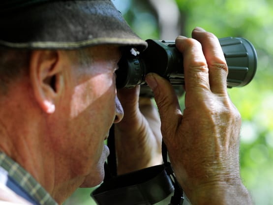 mys-Jagen - Alpenappartment Moigg, Michaela Hochmuth B.A. -Jagen Jagen - Alpenappartment Moigg, Michaela Hochmuth B.A.