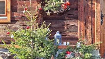 feratel-Haus Elfriede - 20231227_132129