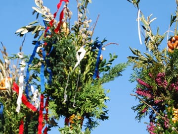 mhf-brauchtum-palmsonntag-zillertal-mayrhofen-hippach-foto-socialweb ©Socialweb