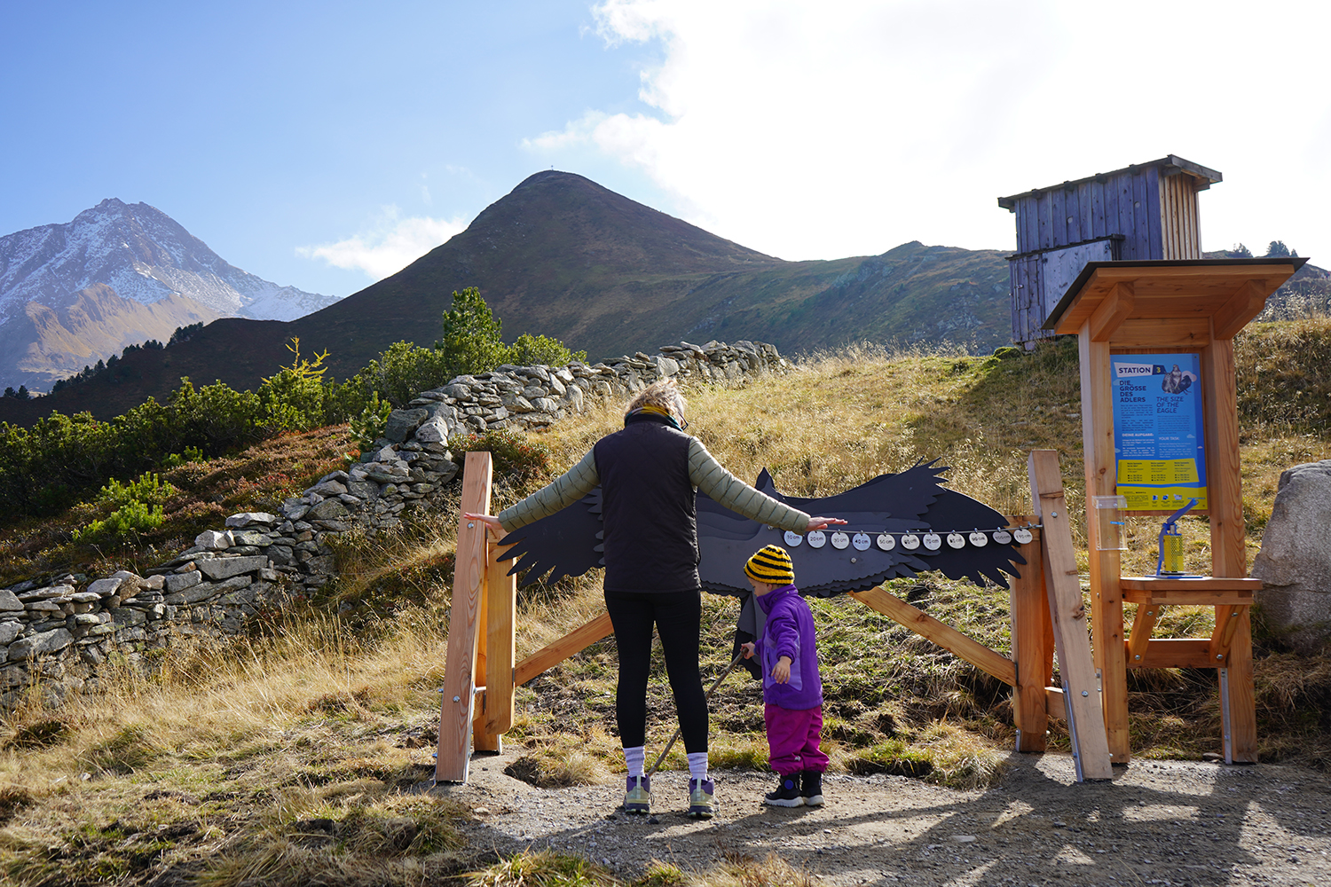 mbb_mountopolis_albert_adler_challenge (1).JPG