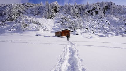 The image shows a wooden hut in a snowy landscape. In the background, trees are covered in snow.