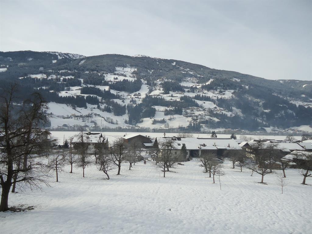 feratel-Ferienwohnungen Eberharter Magdalena - Ausblick
