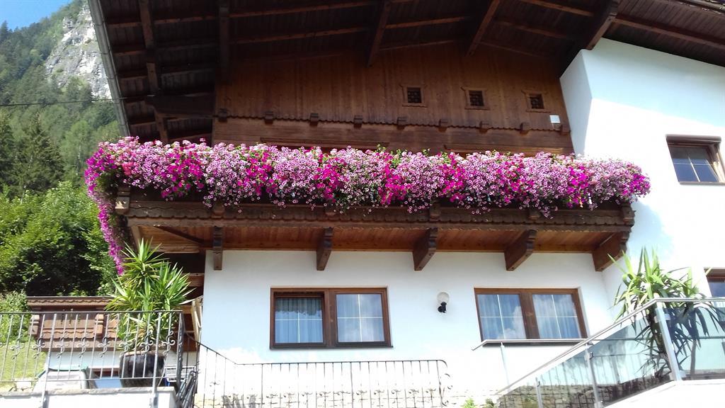 feratel-Ferienwohnung Zuppinger - 20180725_102042