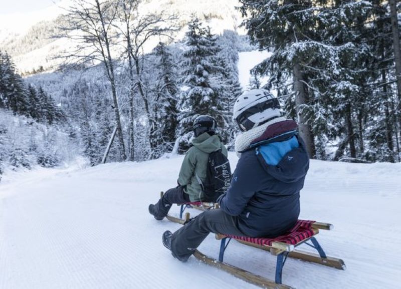 mys-Rodelverleih - Tristenbachalm-Tristenbachalm