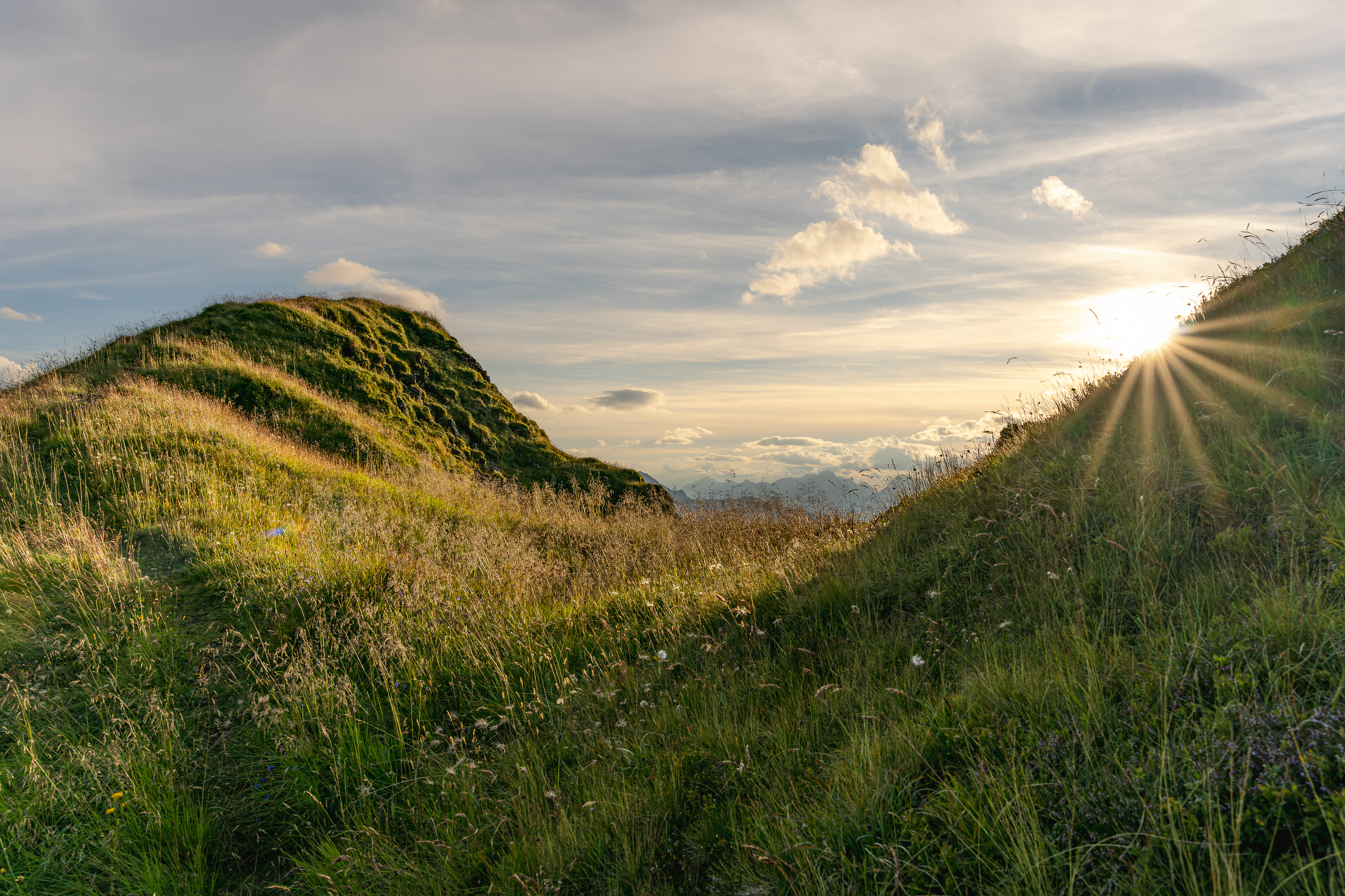 Zwischnen Standkopf und Hamberg