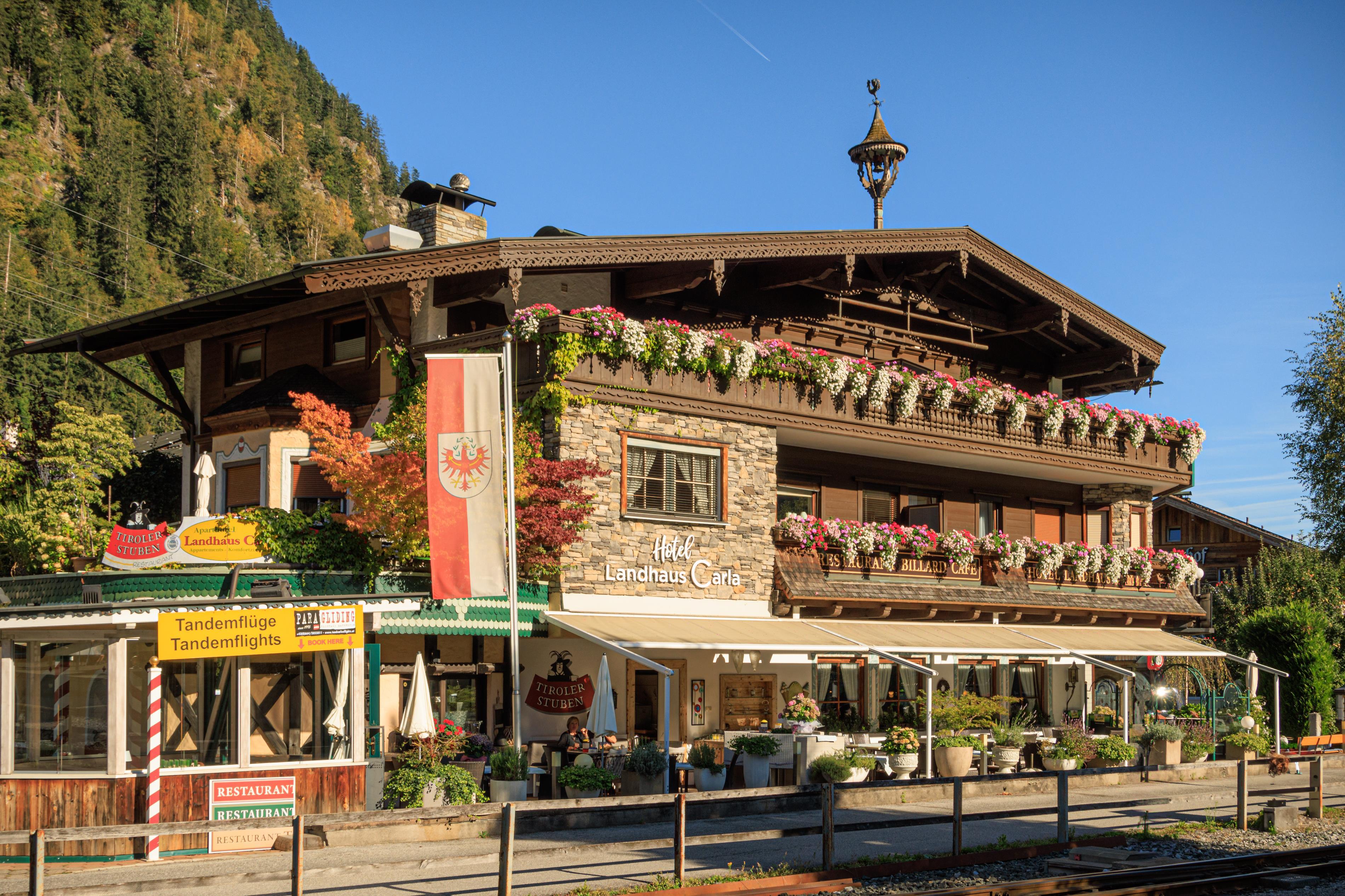 feratel-Apparthotel Landhaus Carla - _A9A1834_LandhausCarla_BlumenSommer070924_becknaph