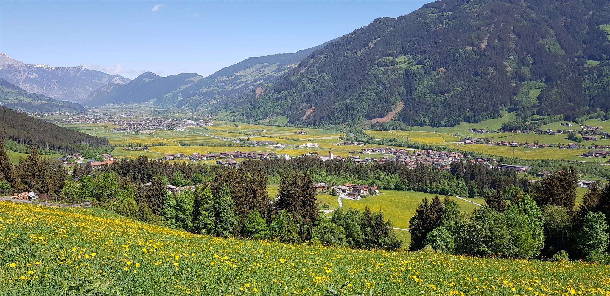 feratel-Haus Sabrina - 20180430_114758