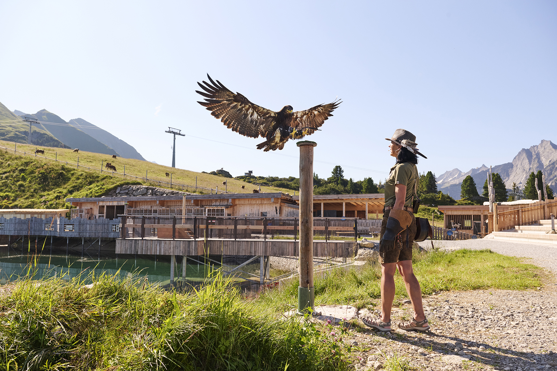 Falknerin mit Adler am Ahorn in Mayrhofen im Zillertal