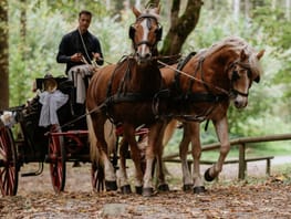 mys-Kutschfahrt mit Freunden oder der Familie mit dem Finkenberger Sattel-Kutschfahrt Finkenberger Sattel Kutschfahrt mit Freunden oder der Familie mit dem Finkenberger Sattel