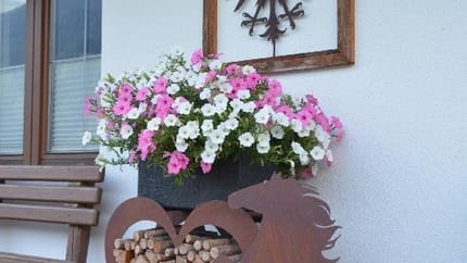 feratel-Haus Neuner - DSC_1513_resize_84