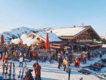 mys-THE MAYRHOFEN ALIEN ABDUCTION-Kaser Mandl