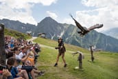 Wenn Spannung zu spüren ist, weil bis zu 800 Zuschauer gleichzeitig den Atem anhalten, dann sitzen sie in der Adlerbühne Ahorn in Mayrhofen im Zillertal. 