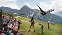 Wenn Spannung zu spüren ist, weil bis zu 800 Zuschauer gleichzeitig den Atem anhalten, dann sitzen sie in der Adlerbühne Ahorn in Mayrhofen im Zillertal. 