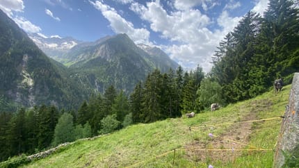 feratel-Alpenchalets Königreich Innerböden - Foto 05.06.22, 11 35 16