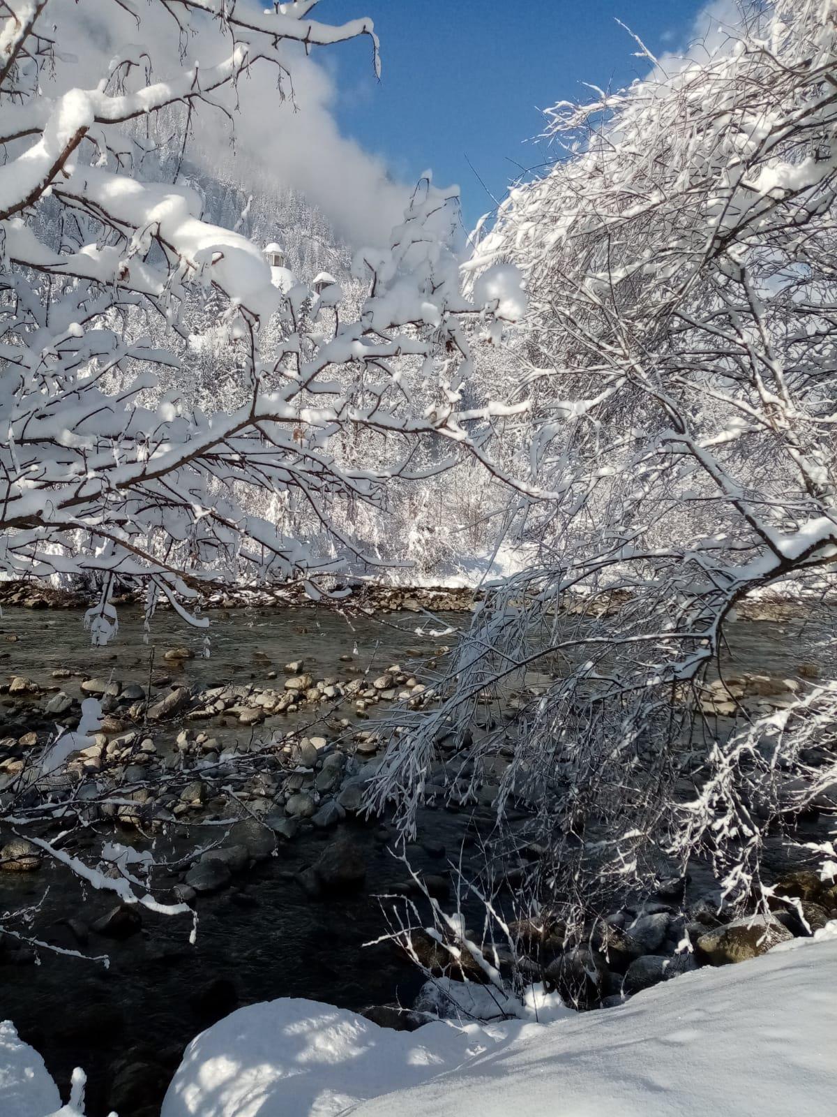 feratel-Landhaus Barbara - IMG-20210609-WA0020