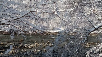 feratel-Landhaus Barbara - IMG-20210609-WA0020