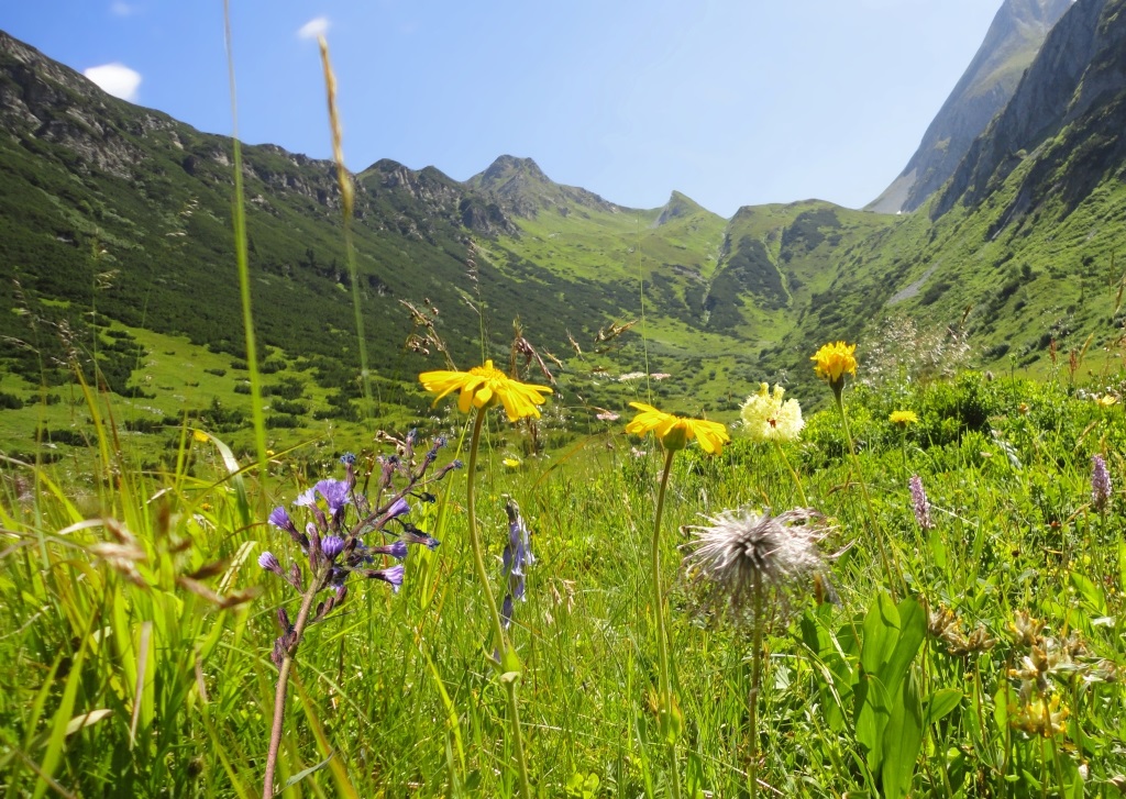 mys-Am Fusse der Gerlossteinwand-Media Upload