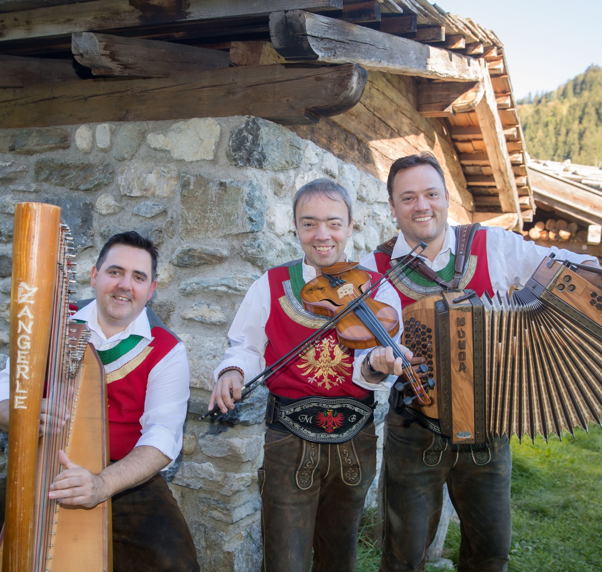 The image shows the Ursprung Buam with their instruments, wearing traditional attire, with an alpine pasture in the background.