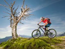 Singletrail (mayrhofen.at) ©Ronny Kiaulehn