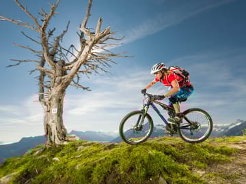 Singletrail (mayrhofen.at) ©Ronny Kiaulehn