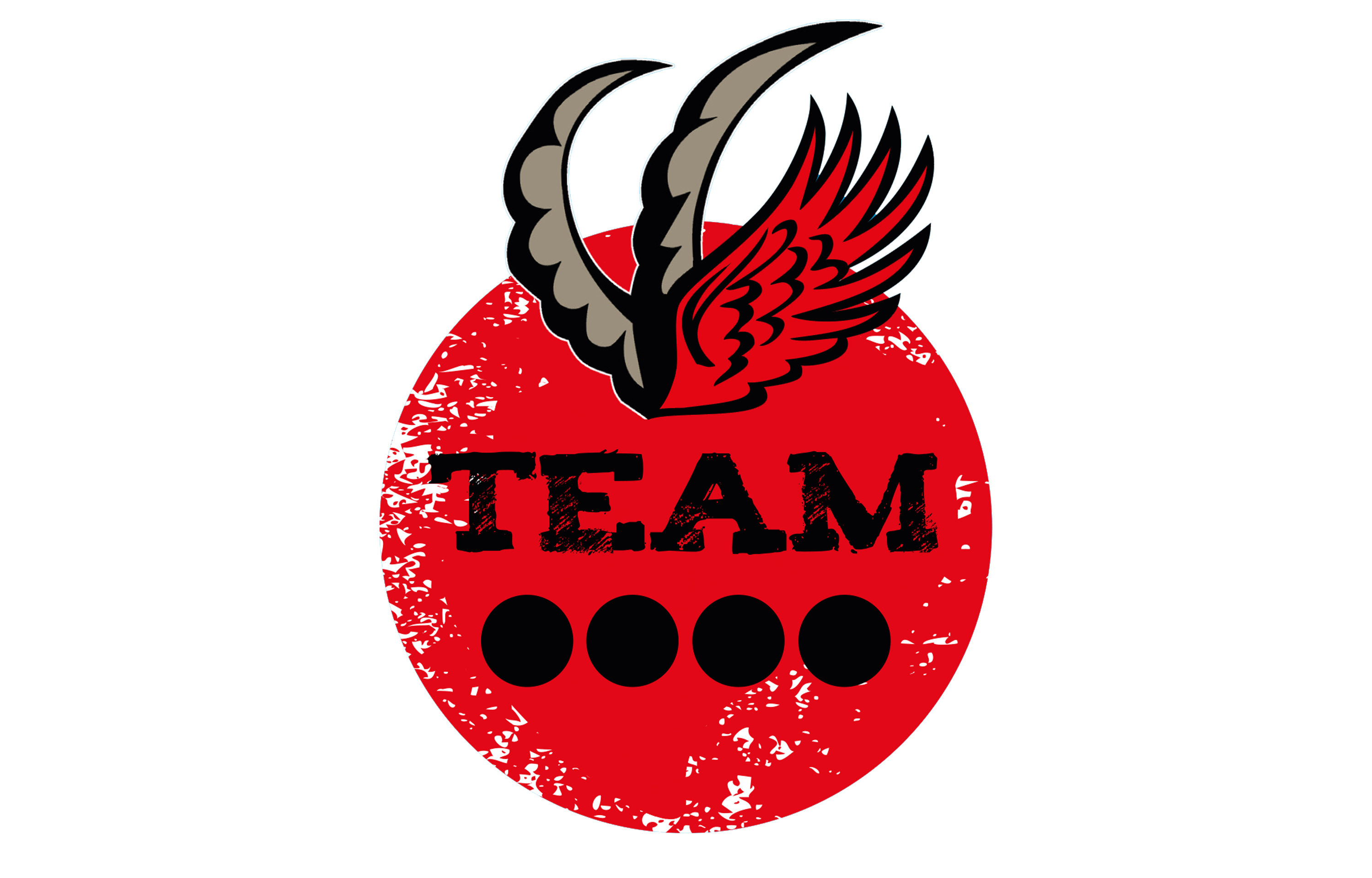 RISE&FALL - TEAM-RACE