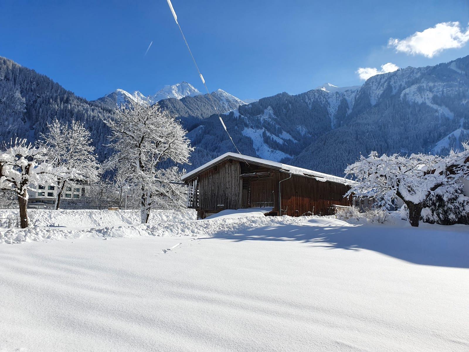 feratel-Landhaus Dornau - Winter
