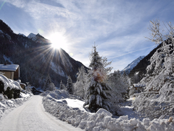 mys-Guided snowshoe hike at Ginzling Winter-Magic-Hochgebirgs-Naturpark Zillertaler Alpen - Winterzauber Ginzling