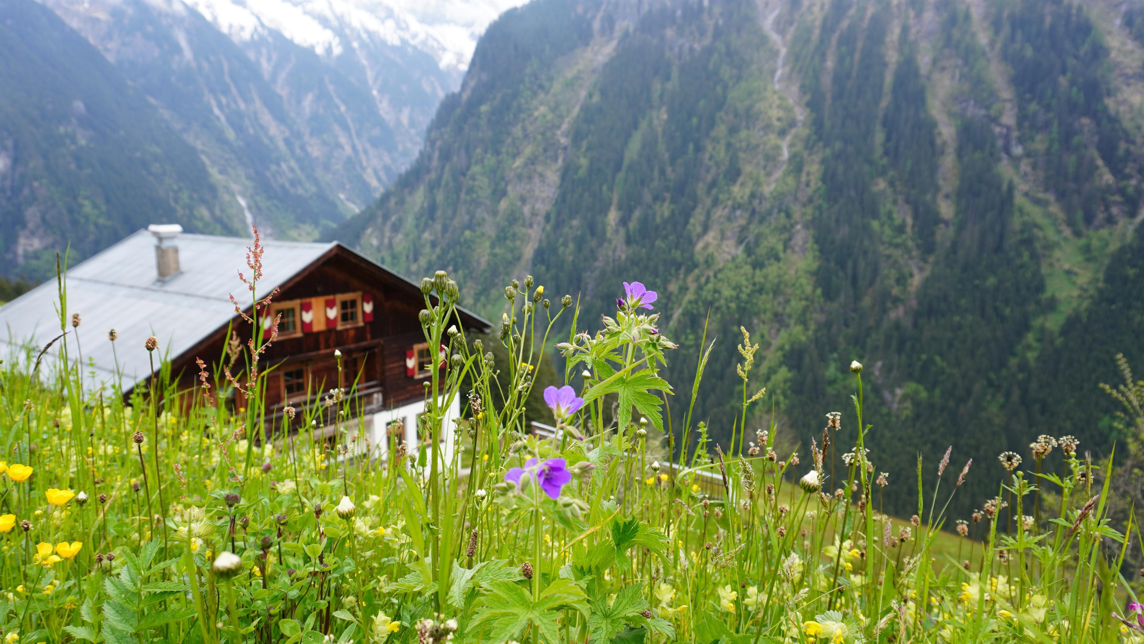 feratel-Alpenchalets Königreich Innerböden - DSC00954