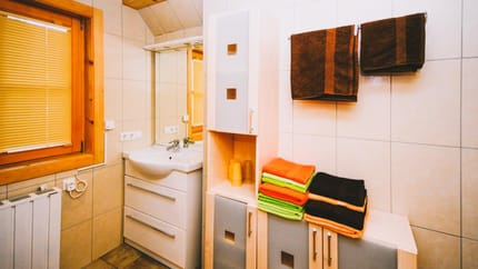 feratel-Trucks Hütte - Bad 1_edited