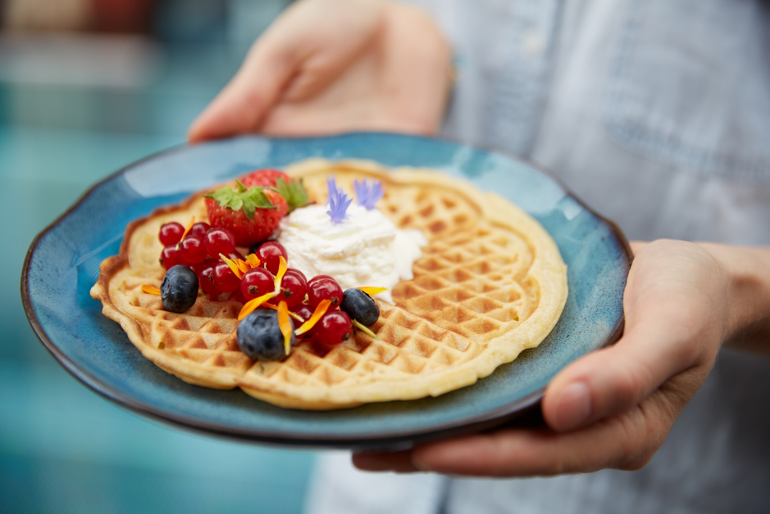 Person holding a blue plate with waffles, fresh berries, whipped cream, and flowers as decoration.