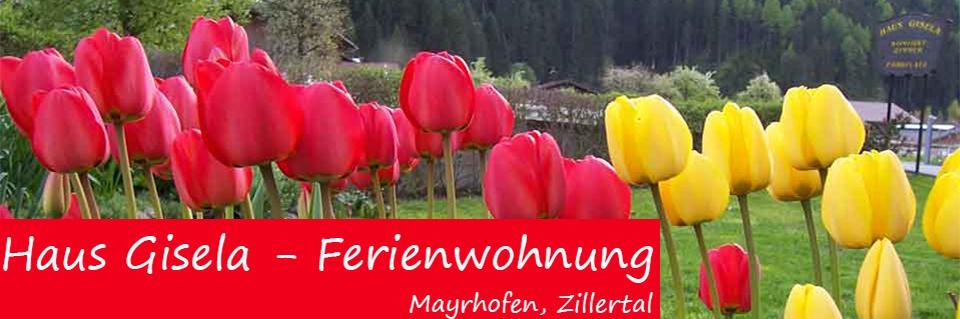 feratel-logo fruehling-haus-gisela-mayrhofen-zillertal-1