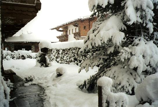 feratel-Komfort Appartment Talbach - Haus Winter