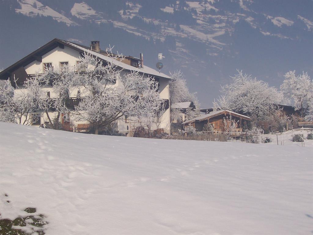 feratel-Pfister Maria - Gästehaus Pfister - Hippach Zillertal