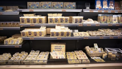 Refrigerated display case with many packaged cheese products. Neatly stacked on several levels, with price tags and labels in the sales area.