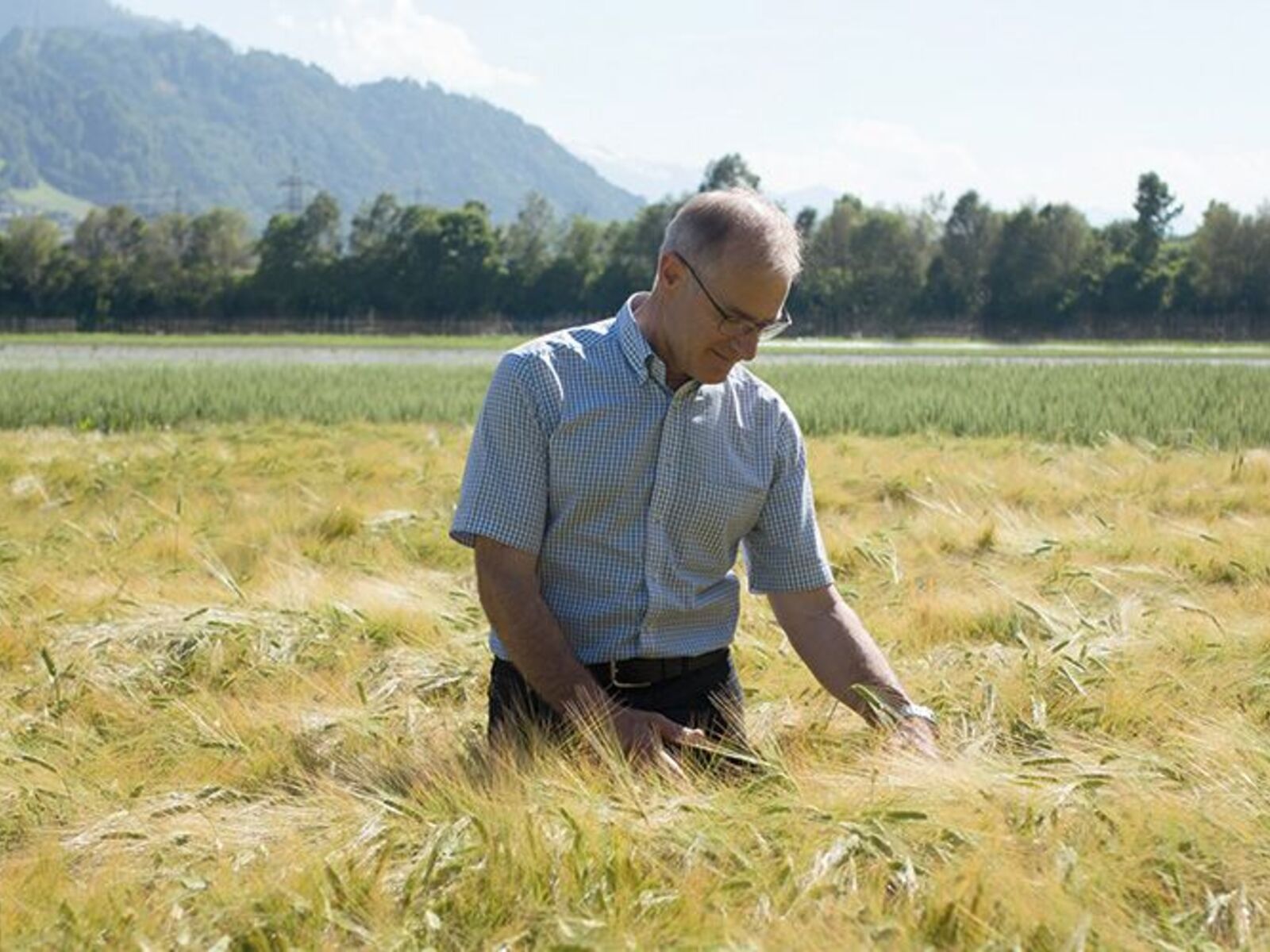 myregio-Bio Gemüse Haas