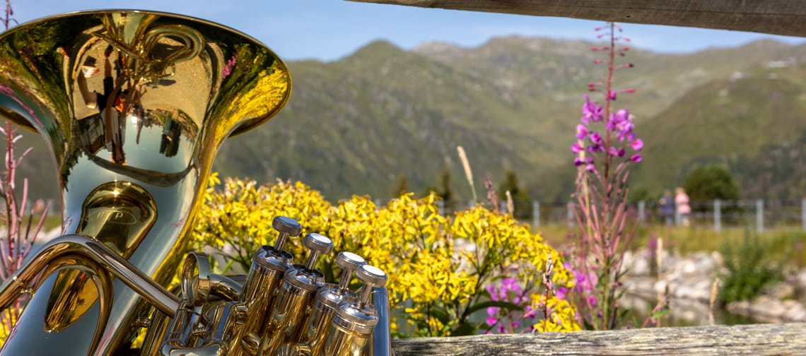 Musikinstrument in sommerlicher Landschaft an einen Zaun gelehnt.