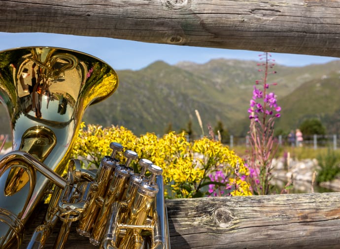 Musikinstrument in sommerlicher Landschaft an einen Zaun gelehnt.
