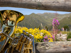 mys-Blechlawine am Berg 3.0-Blechlawine am Berg