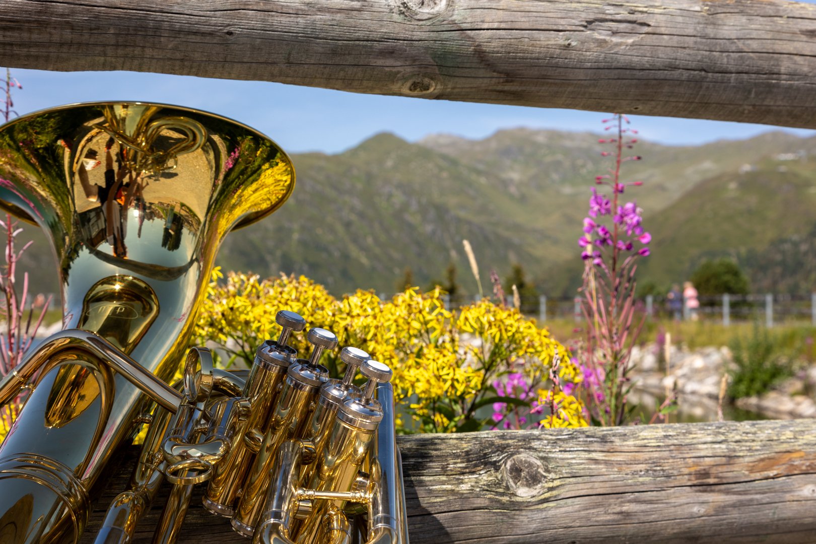 Musikinstrument in sommerlicher Landschaft an einen Zaun gelehnt.