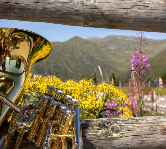 Musikinstrument in sommerlicher Landschaft an einen Zaun gelehnt.