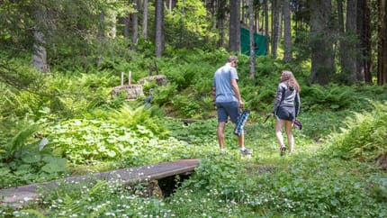 Bogenpark Hochfügen Wald