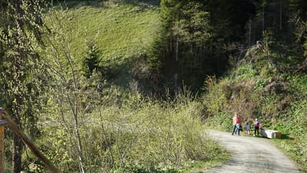 mys-Wine hike on the Hochschwendberg-Wanderung Lichteben