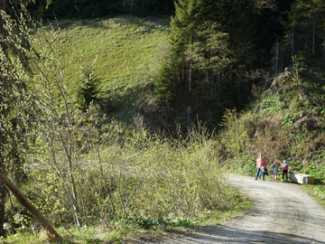 mys-Wine hike on the Hochschwendberg-Wanderung Lichteben